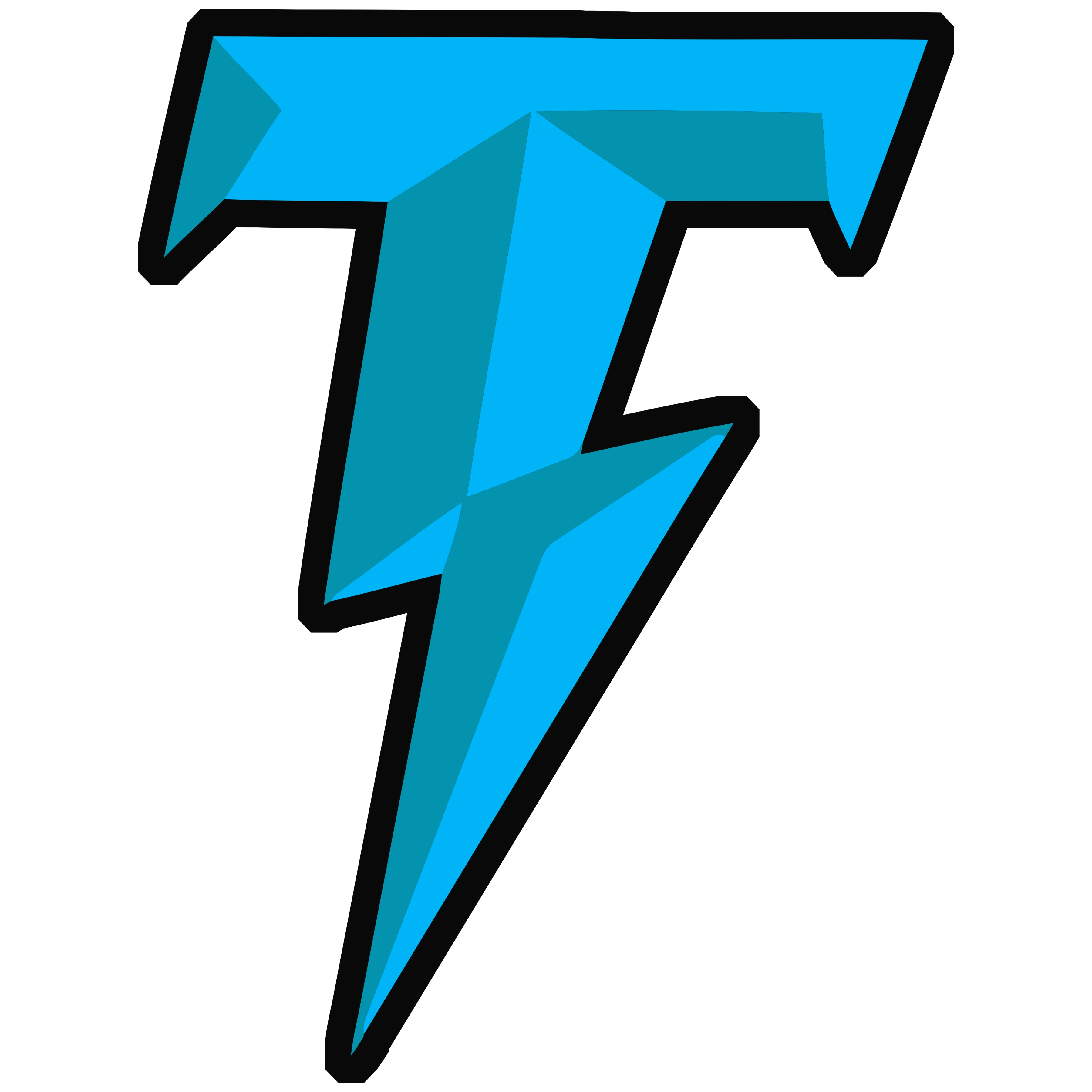 TovHost Logo